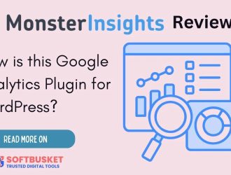 MonsterInsights review