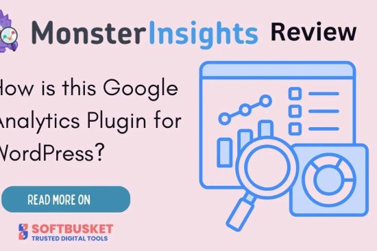 MonsterInsights review